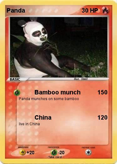Pokemon Panda
