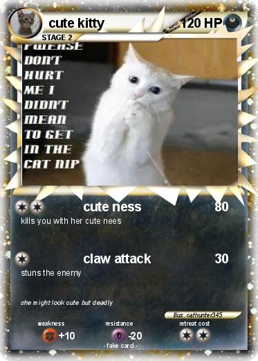 Pokemon cute kitty
