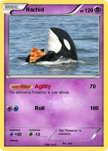 Pokemon Rachid