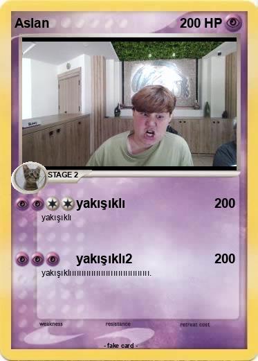 Pokemon Aslan