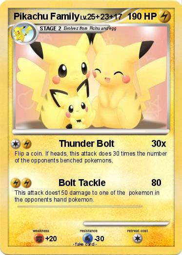 Pokemon Pikachu Family