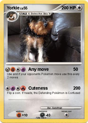 Pokemon Yorkie
