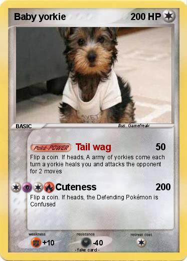 Pokemon Baby yorkie