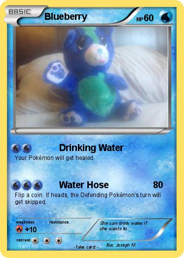 Pokemon Blueberry