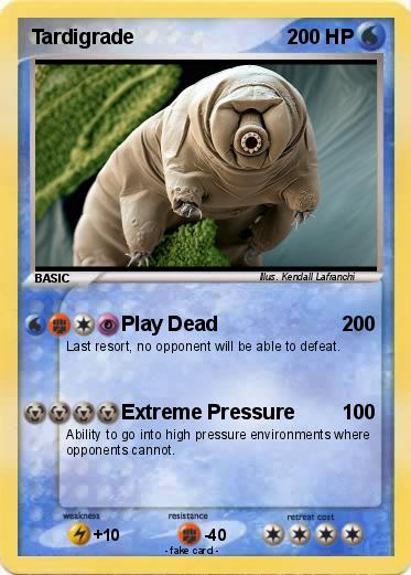 Pokemon Tardigrade