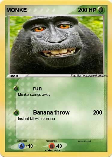 Pokemon MONKE