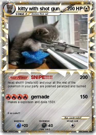 Pokemon kitty with shot gun
