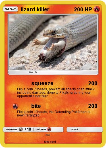 Pokemon lizard killer