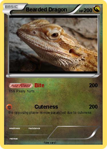 Pokemon Bearded Dragon