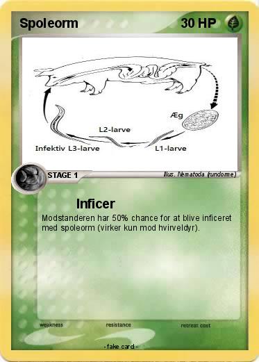 Pokemon Spoleorm
