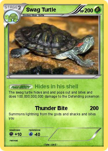 Pokemon Swag Turtle