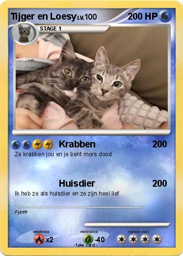 Pokemon Tijger en Loesy