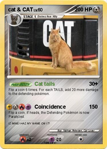 Pokemon cat & CAT