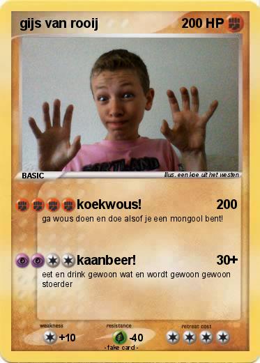 Pokemon gijs van rooij