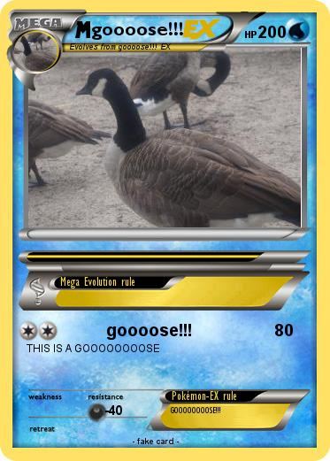 Pokemon goooose!!!