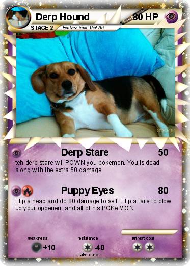 Pokemon Derp Hound