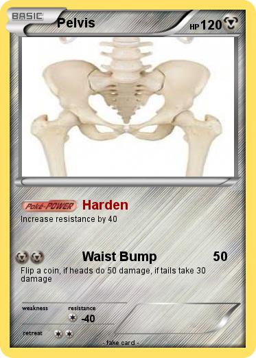 Pokemon Pelvis