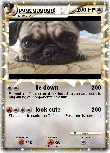 Pokemon pugggggggg!
