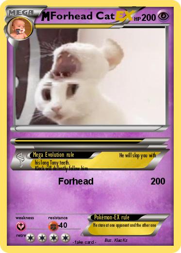 Pokemon Forhead Cat