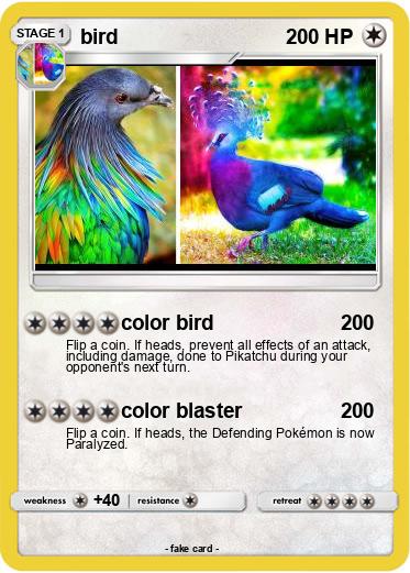 Pokemon bird