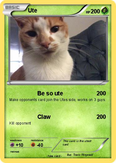 Pokemon Ute