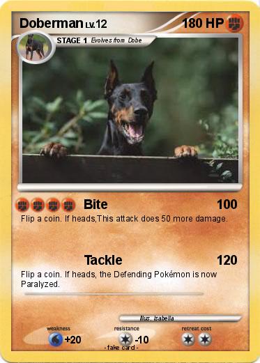 Pokemon Doberman