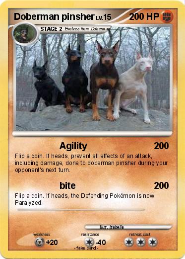 Pokemon Doberman pinsher