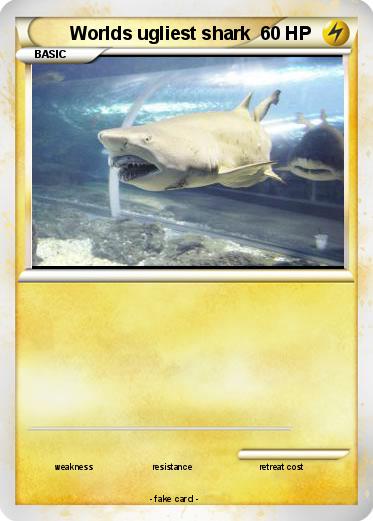 Pokemon Worlds ugliest shark