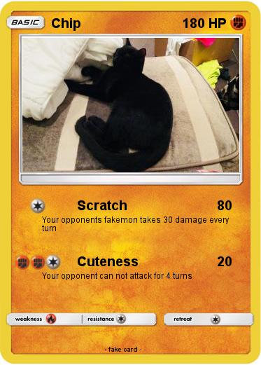 Pokemon Chip
