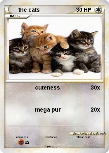 Pokemon the cats