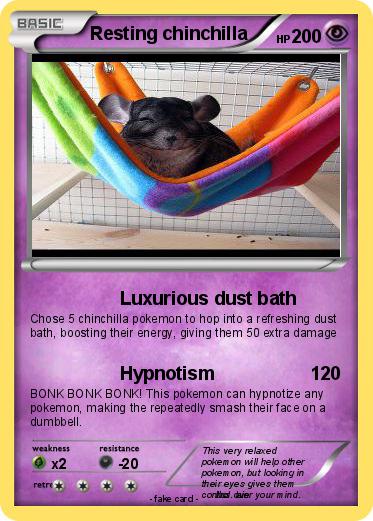 Pokemon Resting chinchilla Pokemon Resting chinchilla