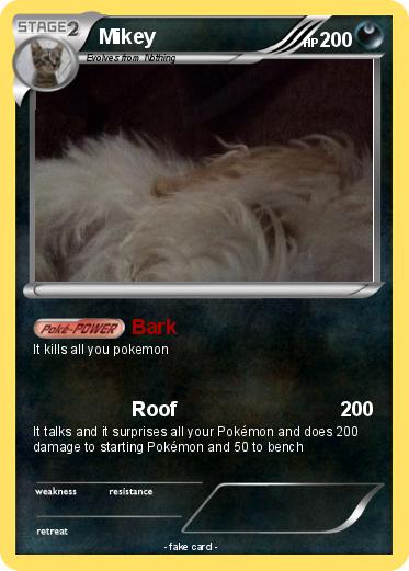 Pokemon Mikey