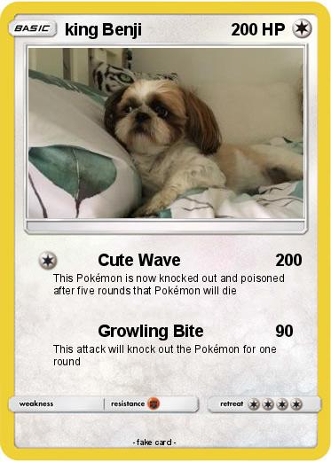 Pokemon king Benji
