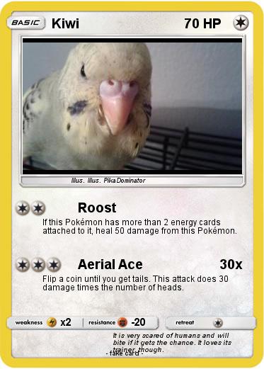 Pokemon Kiwi