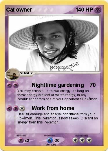 Pokemon Cat owner