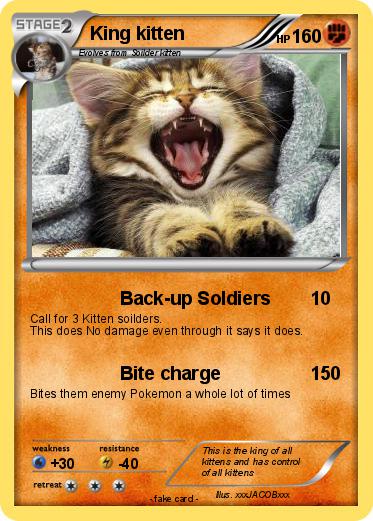 Pokemon King kitten