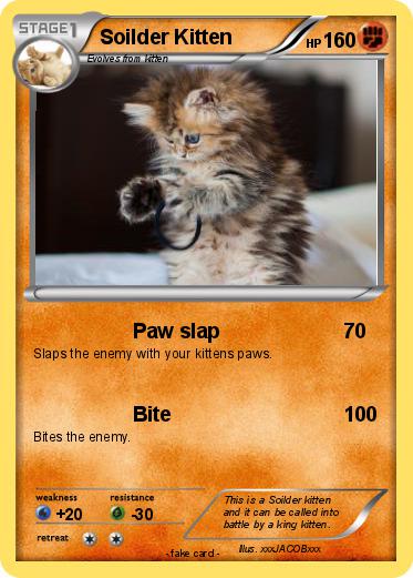 Pokemon Soilder Kitten