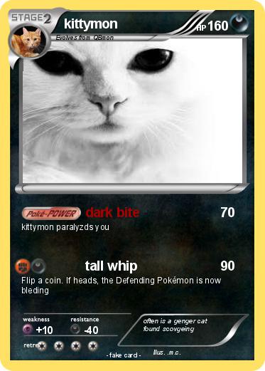 Pokemon kittymon