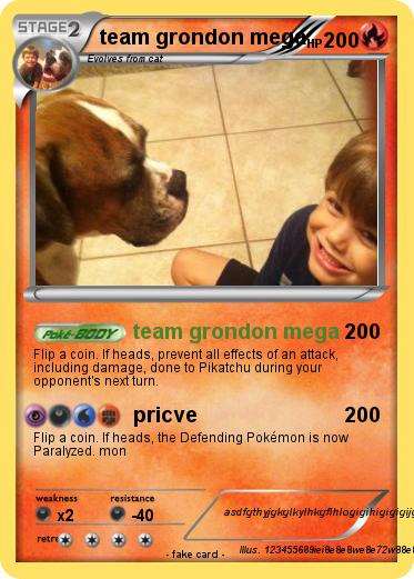 Pokemon team grondon mega