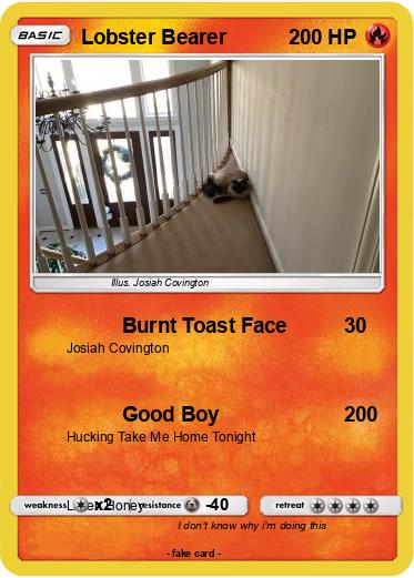 Pokemon Lobster Bearer