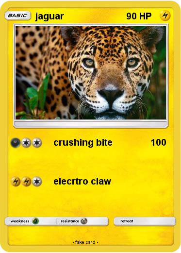 Pokemon jaguar