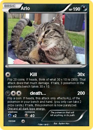 Pokemon Arlo