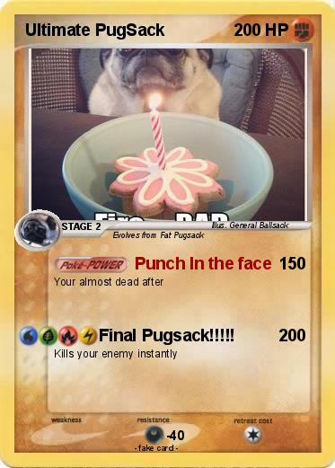 Pokemon Ultimate PugSack