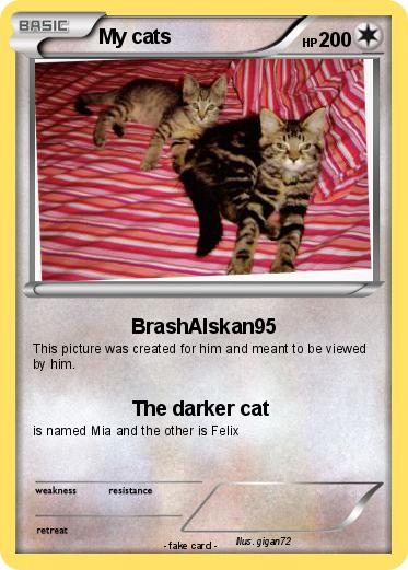 Pokemon My cats