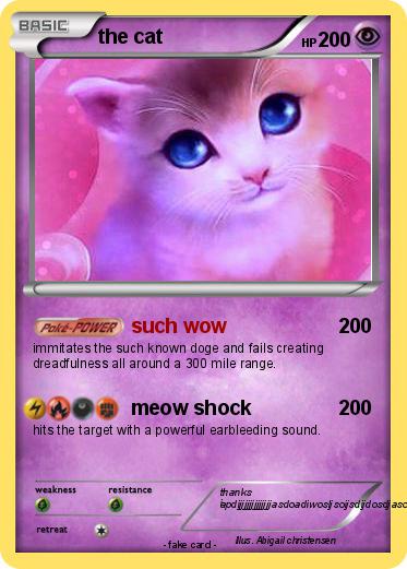 Pokemon the cat
