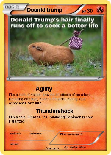 Pokemon Doanld trump