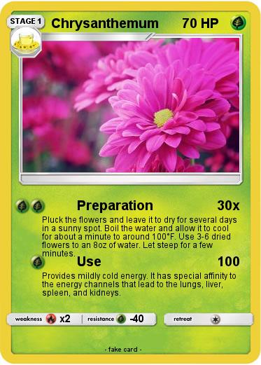 Pokemon Chrysanthemum