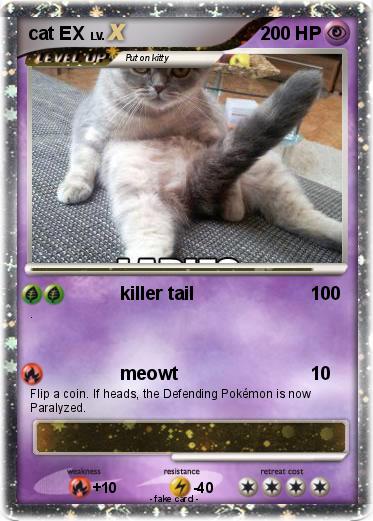 Pokemon cat EX