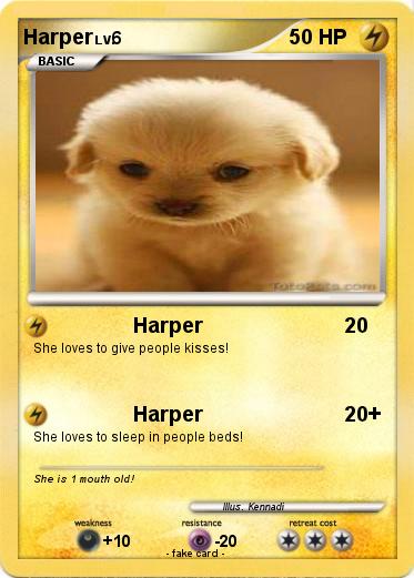 Pokemon Harper