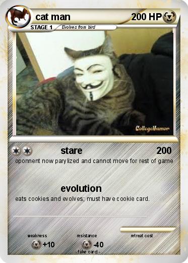 Pokemon cat man